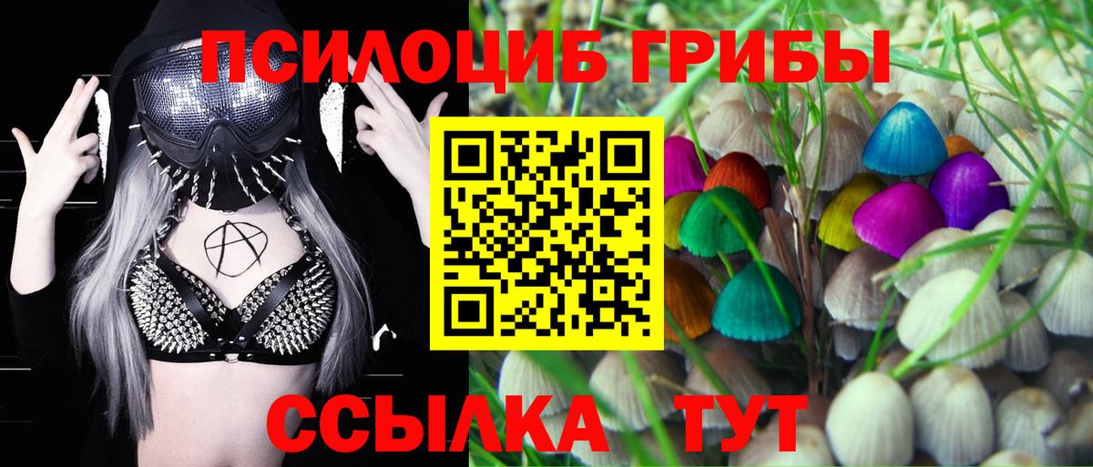 Псилоцибиновые грибы MAGIC MUSHROOMS Ногинск
